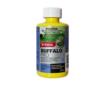 Buffalo Pro - Yates