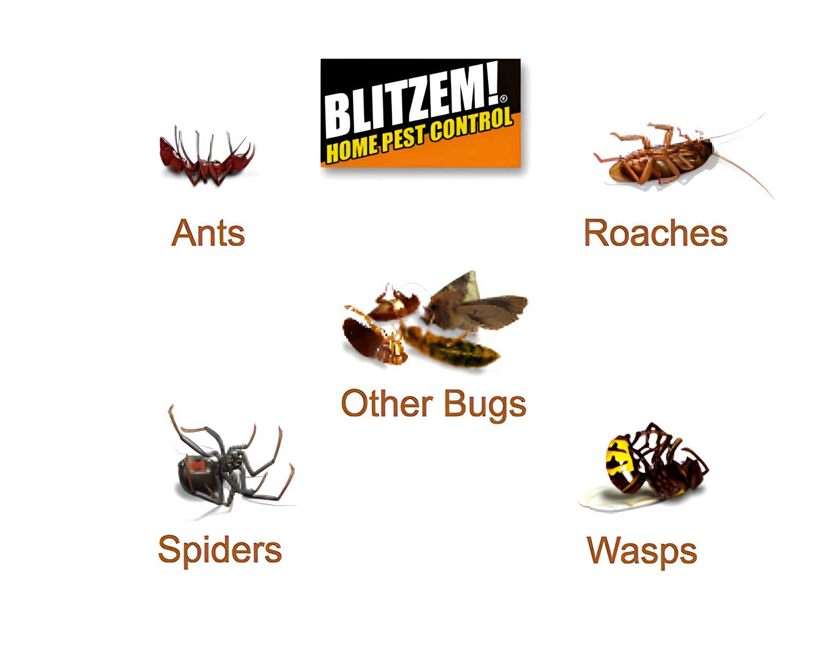 Blitzem Insect Killer