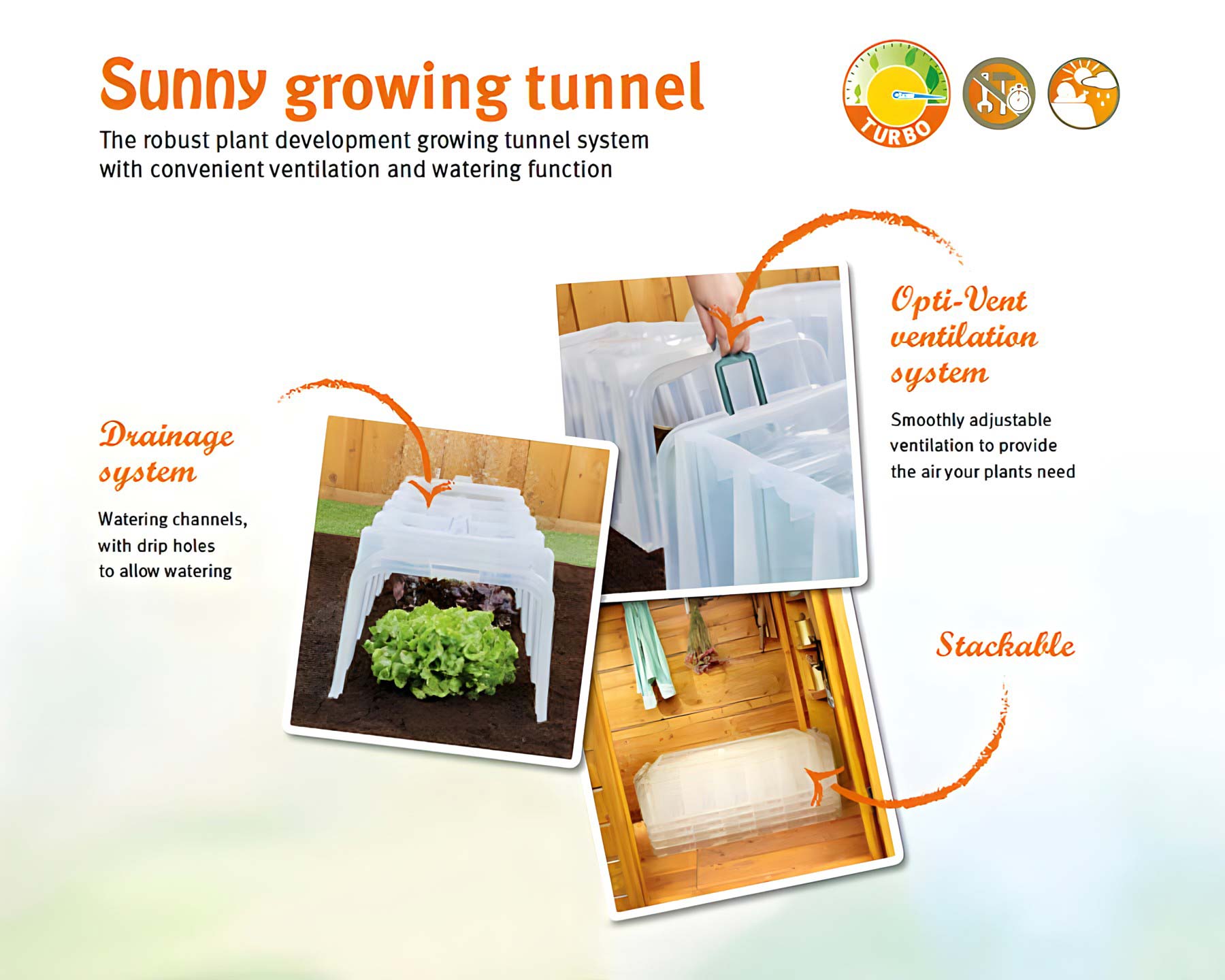 Sunny Growing Tunnel