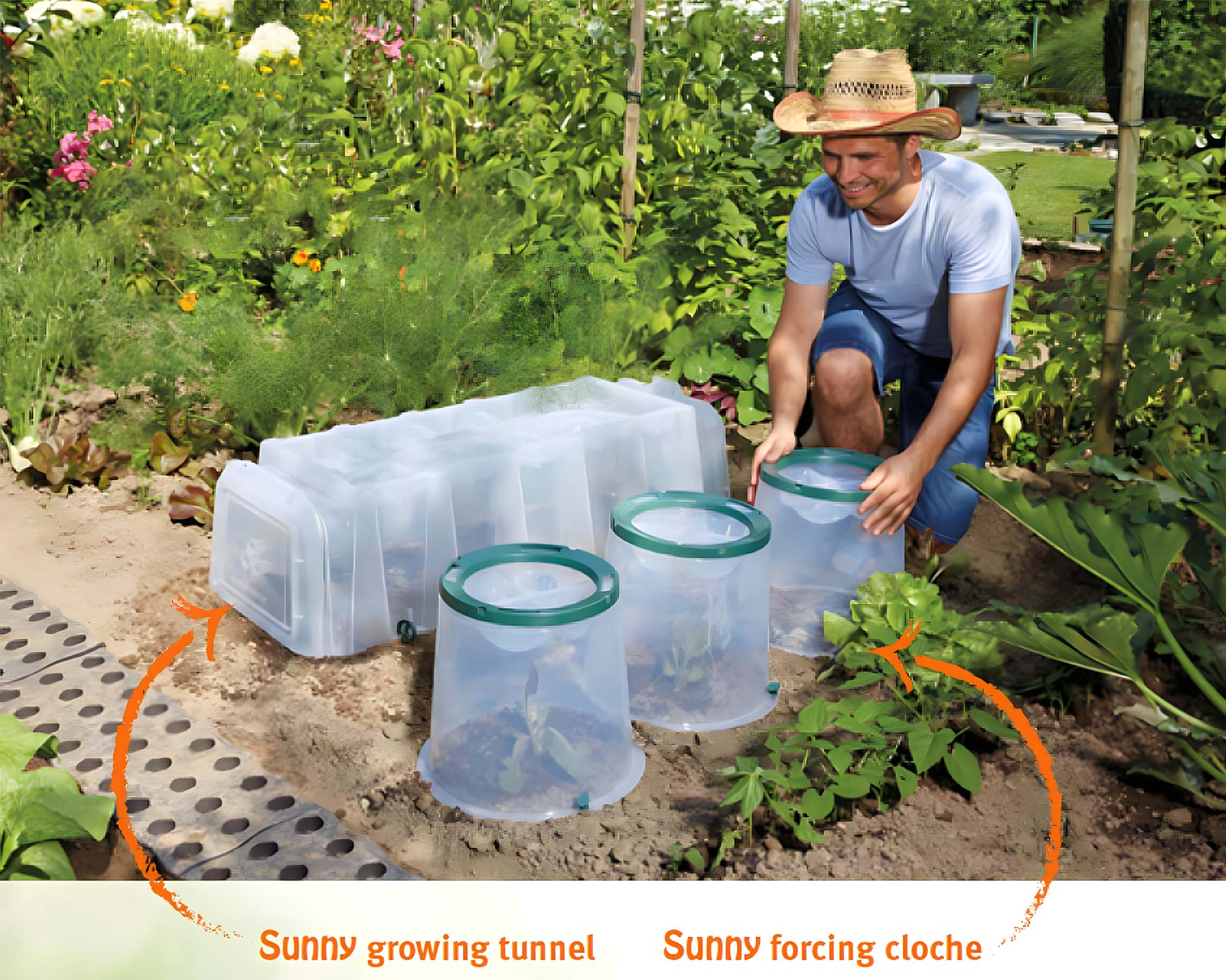 Sunny Growing Tunnel and Forcing Cloches