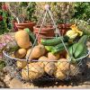 Large Harvesting Basket - Sophie Conran