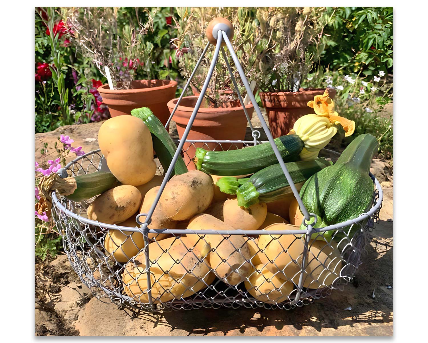 Large Harvesting Basket - Sophie Conran