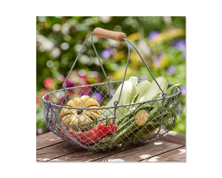 Large Harvesting Basket by Sophie Conran
