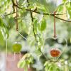 Apple Bird Feeders by Sophie Conran available in 2 designs - House and Heart