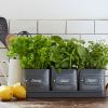 Set of 3 herb pots on matching tray by Burgon and Ball perfect for growing herbs in your kitchen