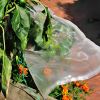 The smaller Fruit Saver mesh bags can protect fruit on smaller plants like Capsicum and tomatoes
