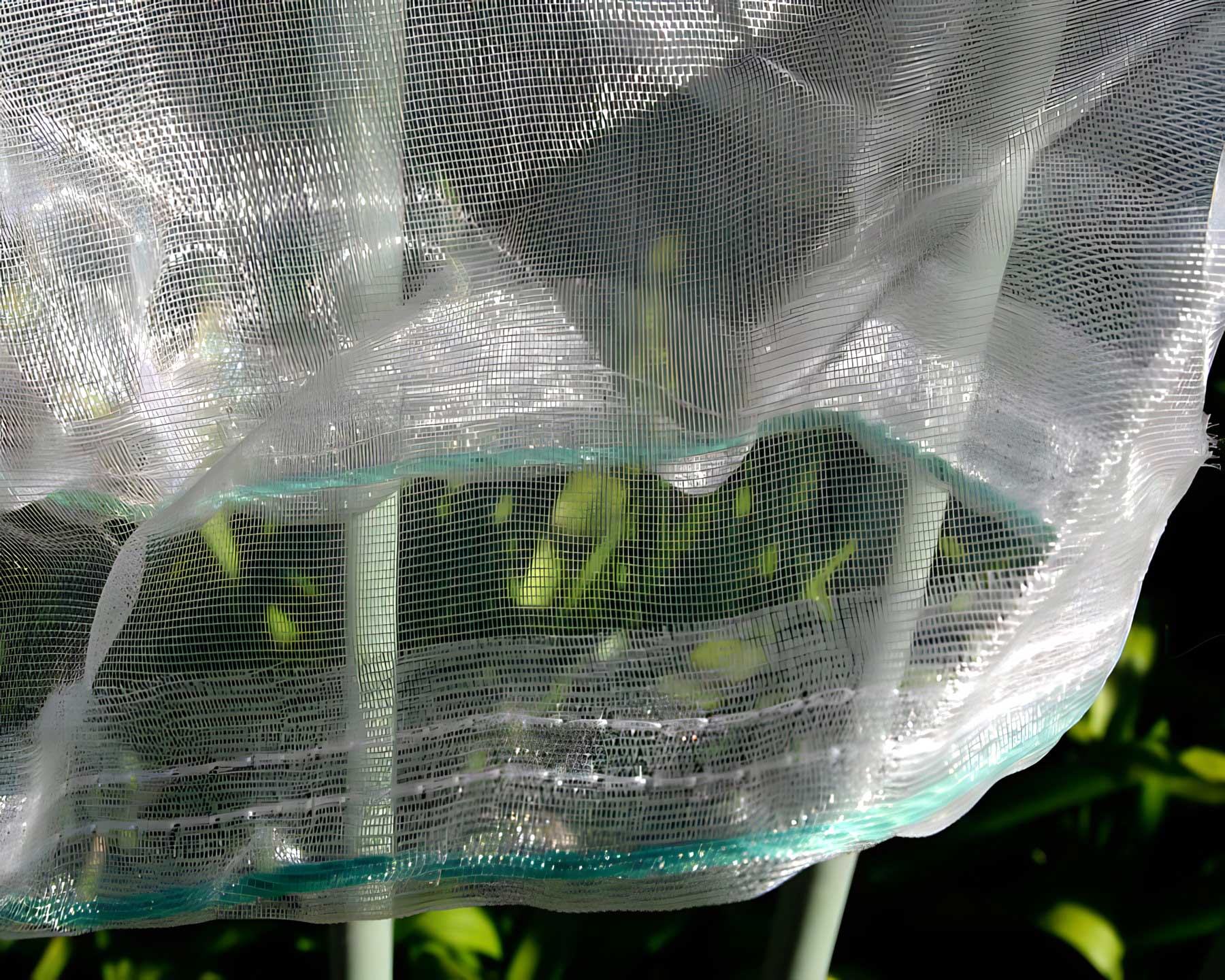 Fruit Saver bags are made of light but tough mesh