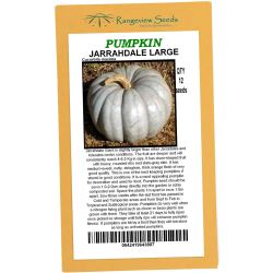 Pumpkin Jarrahdale Large - Rangeview Seeds