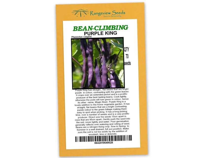Climbing Beans - Purple king - Rangeview Seeds