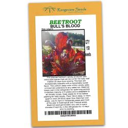 Beetroot Bulls Blood Organic - Rangeview Seeds