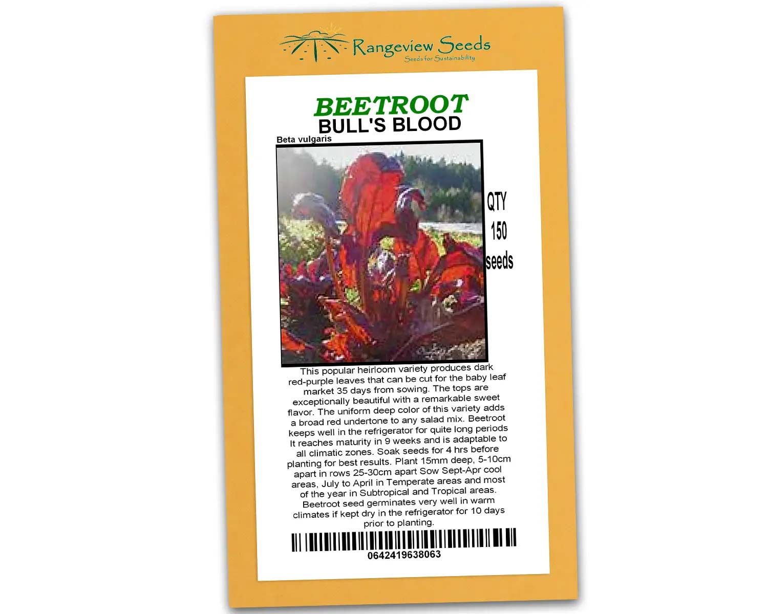 Beetroot Bulls Blood - Rangeview Seeds