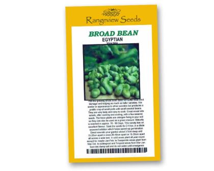 Broad Beans Egyptian