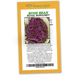 Bush Beans Royal Burgundy - Rangeview Seeds