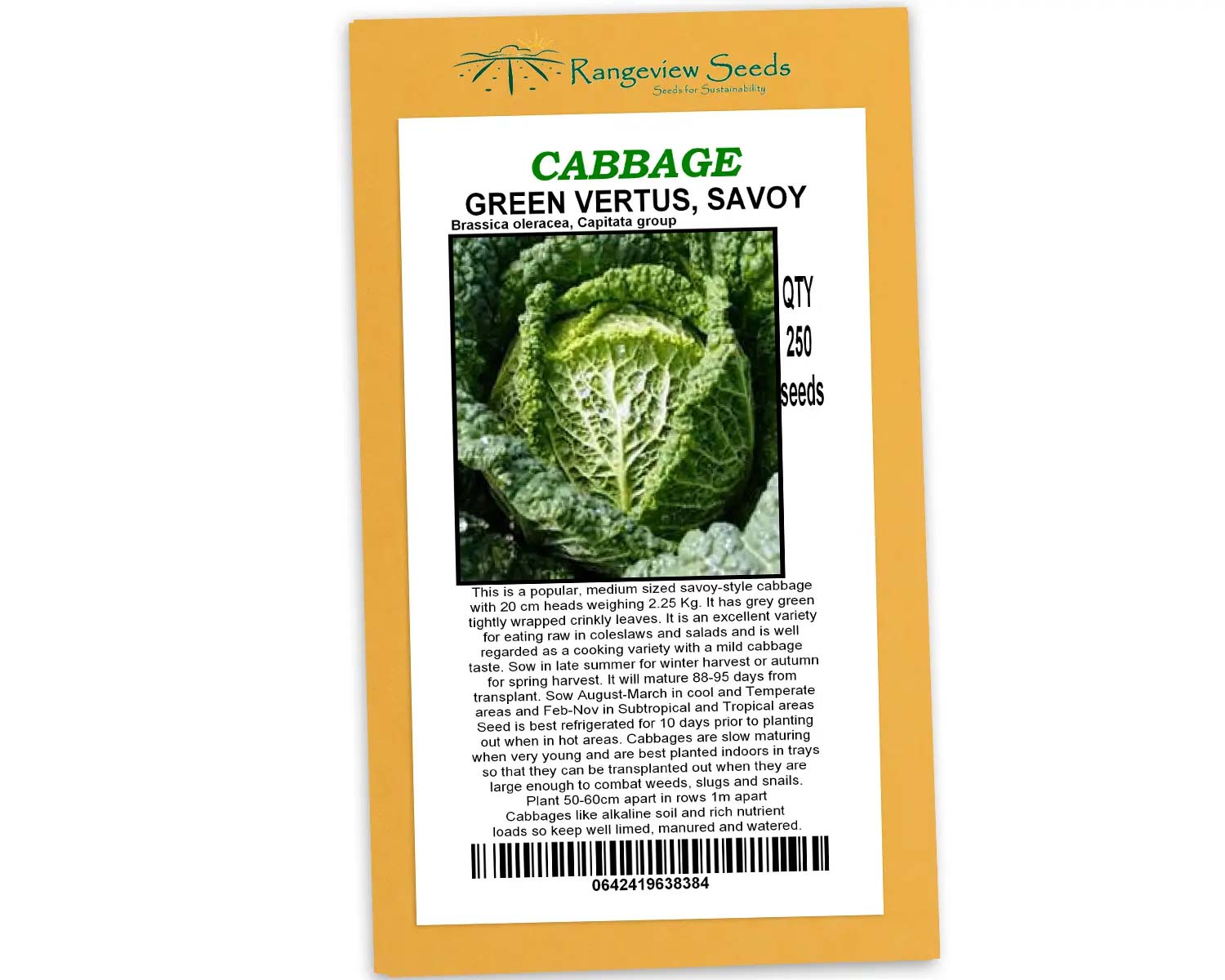 Cabbage Green Vertus Savoy - Rangeview Seeds
