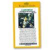 Chamomile German Bodegold Organic - Rangeview Seeds