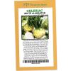 Celeriac White Alabster - Rangeview Seeds