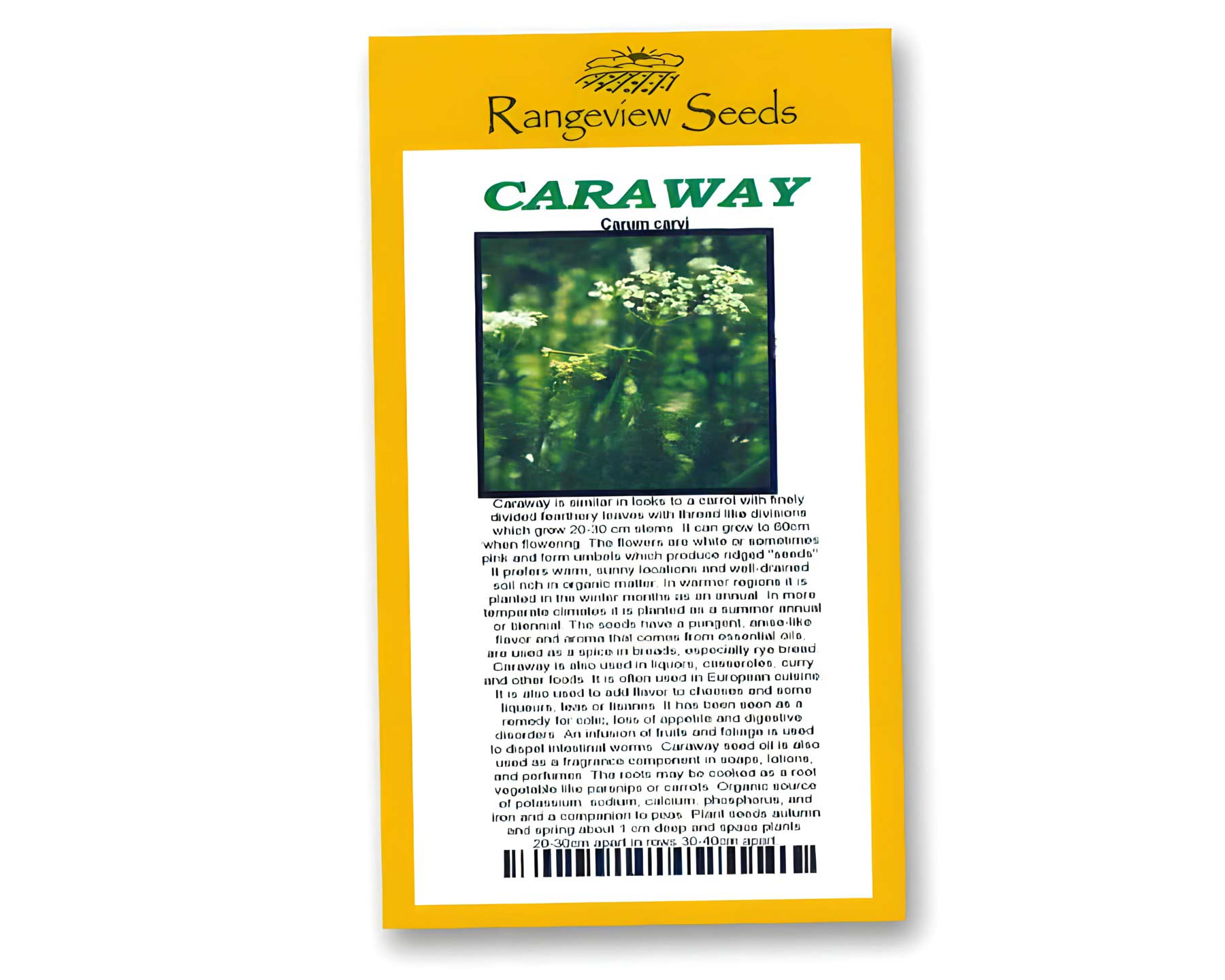 Caraway - Rangeview Seeds