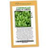 Cornsalad Verde de Cambrai - Rangeview Seeds (aka Lambs Lettuce)