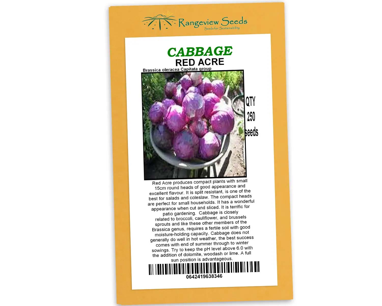 Cabbage Red Acre - Rangeview Seeds