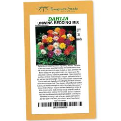 Dahlia Unwins Bedding Mix - Rangeview Seeds