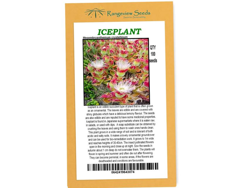 Iceplant (Mesembryanthemum crystallinum) - Rangeview Seeds
