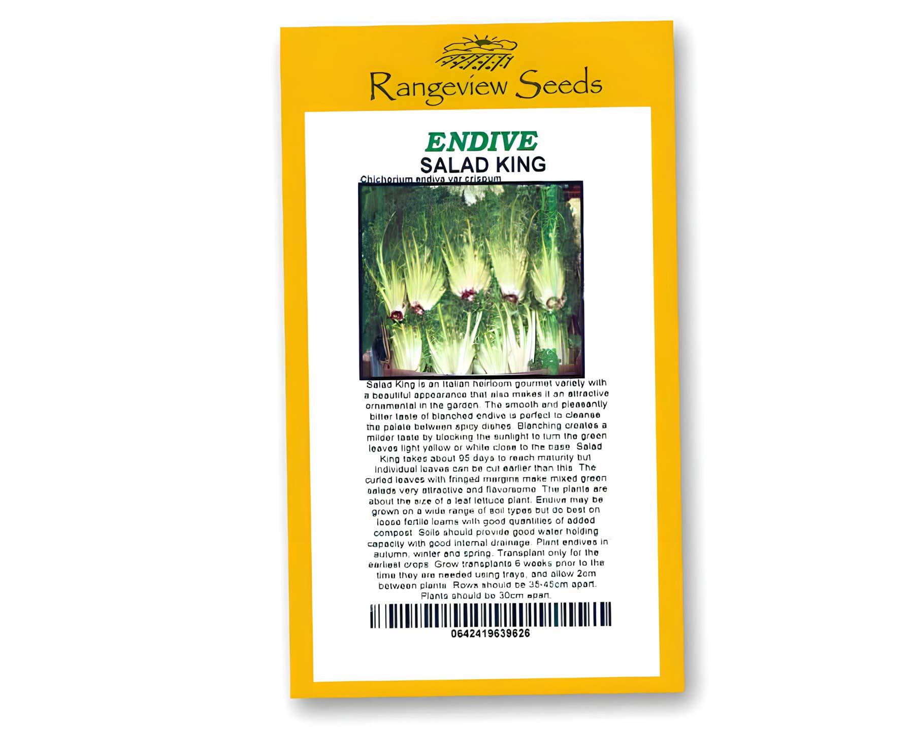 Endive Salad King - Rangeview Seeds