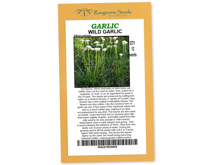 Wild Garlic - Rangeview Seeds