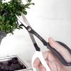 Japanese Pruning Scissors are designed for pruning and maintenance of bonsai trees, but also useful for other indoor plants.