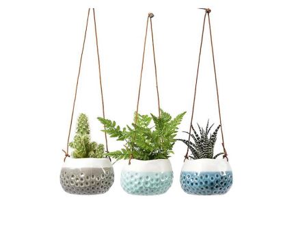 Baby Dotty hanging pots