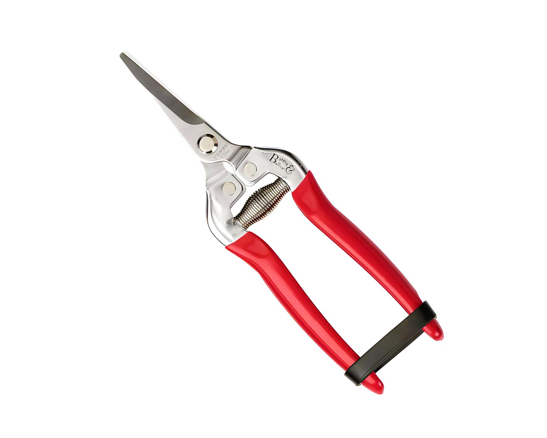 RHS Snip and Holster British Bloom Design- The fine blades and scissor cutting action are an excellent design for cutting flowers