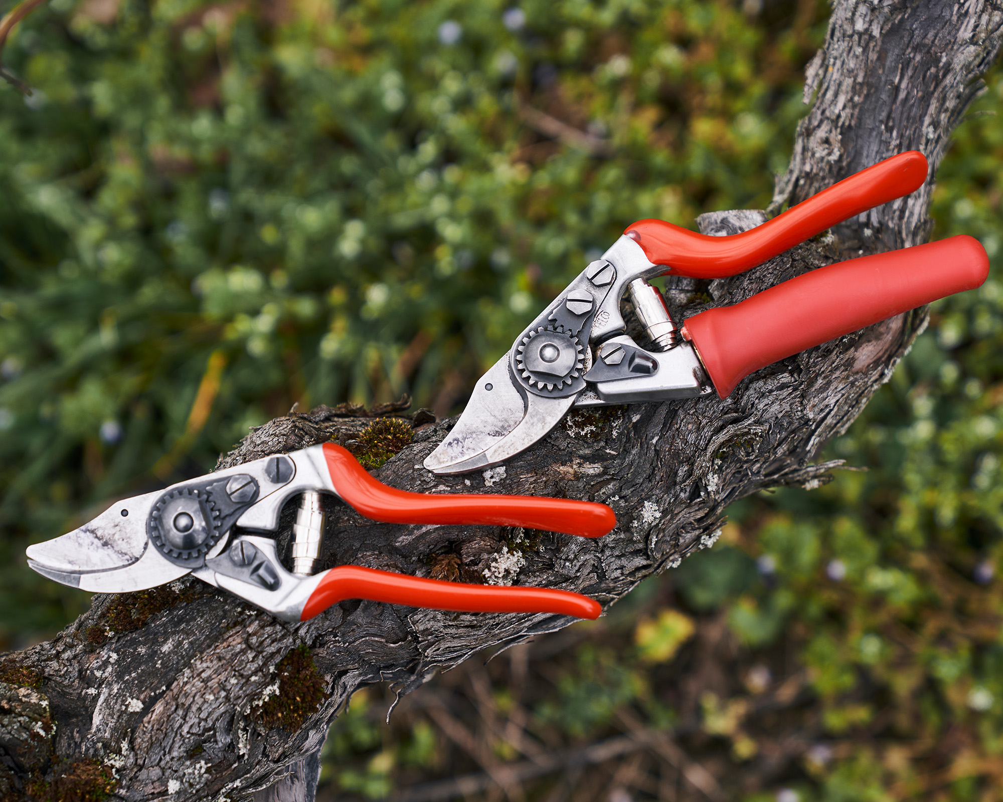 Felco bypass secateurs designed for small hands - Felco 14 and Felco 15 with rotating handle