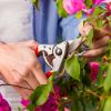 Felco 14 - bypass secateurs designed for small hands