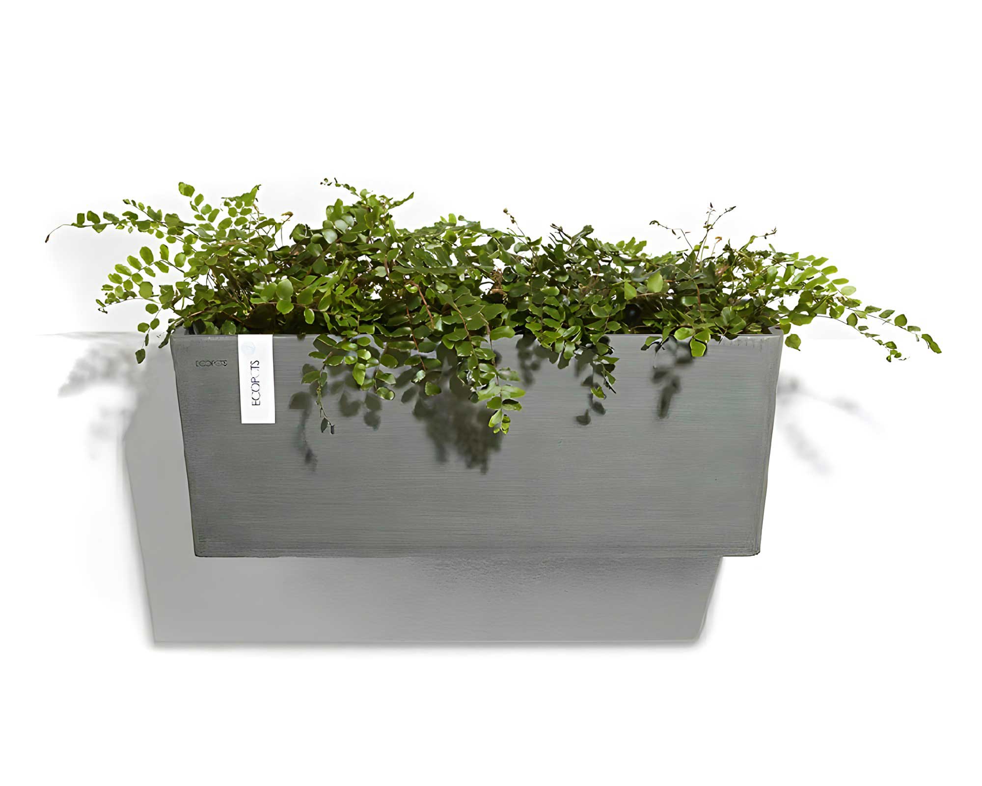 GardensOnline Product: Mounted - Wall - | Manhattan EcoPots