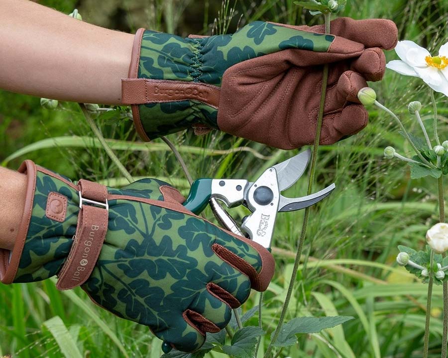Love The Glove, Oak Leaf Moss