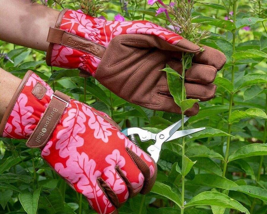 Love The Glove, Oak Leaf Poppy
