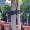 Rapstrap - suitable for staking plants