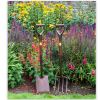 Garden Spade and fork - National Trust range of tools by Burgon and Ball
