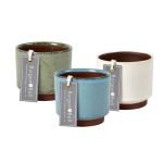 Malibu Succulent Pots - 3 colours by Burgon and Ball