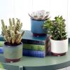 Malibu Succulent Pots - Blue and Cream by Burgon and Ball