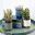 Malibu Succulent Pots in 3 colours - Blue, Green and Cream by Burgon and Ball