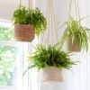 The range of hanging plant pots - tapered and tall made from jute whilst the short pot is made of seagrass