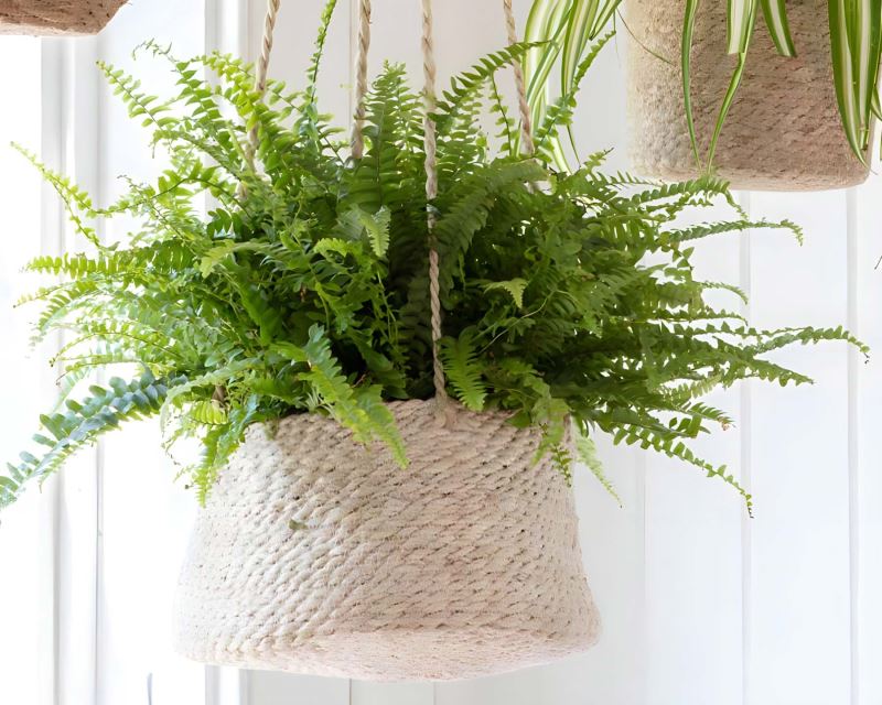 Hanging Plant Pot - the tapered design are hand woven from jute.
