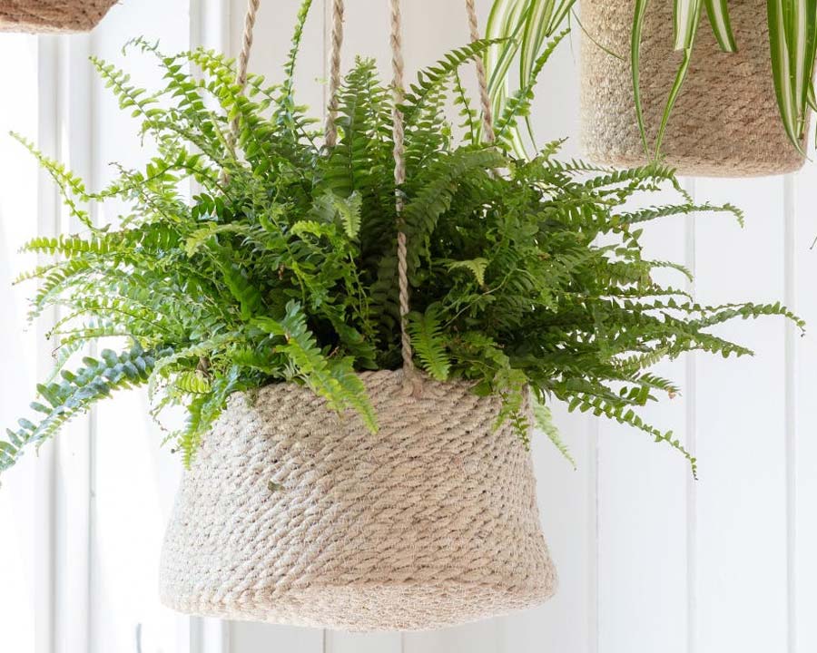 Hanging Plant Pot - the tapered design are hand woven from jute.
