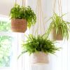 The range of hanging plant pots - tapered and tall made from jute whilst the short pot is made of seagrass