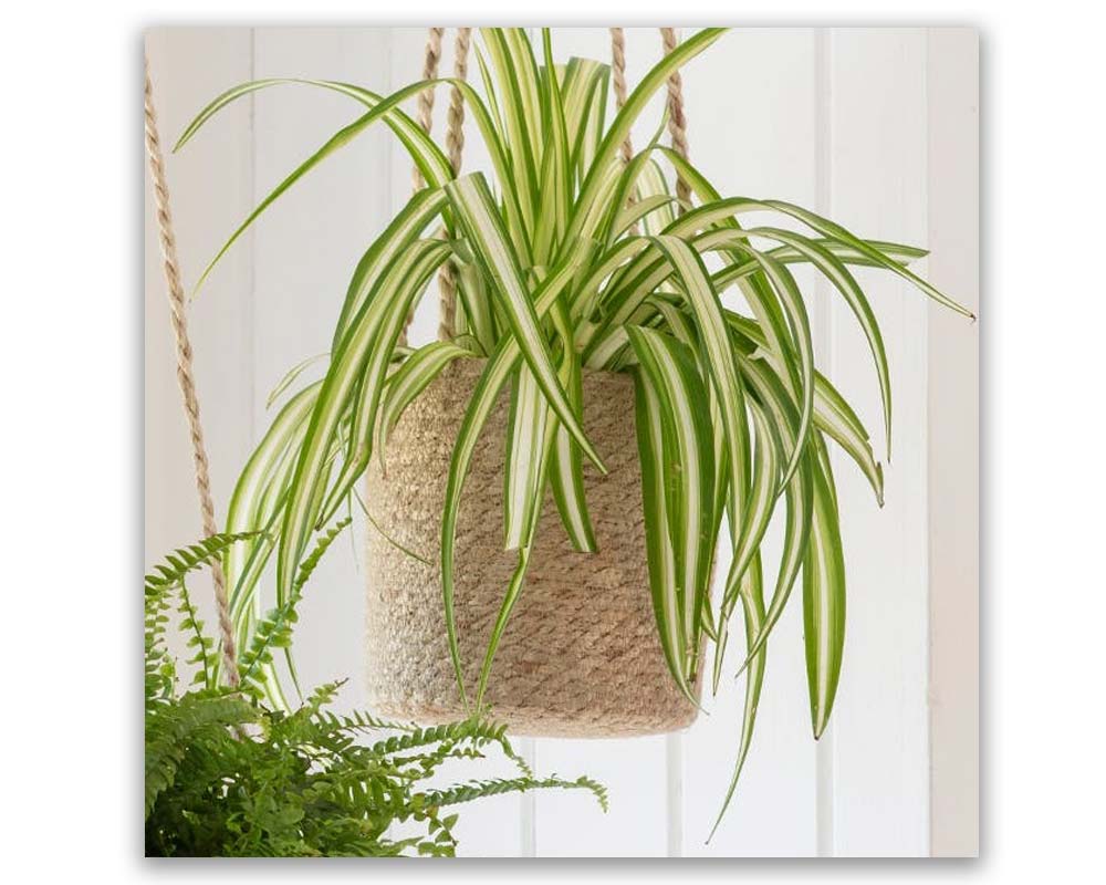 Hanging pot - tall design is hand woven from jute with jute hanging ties