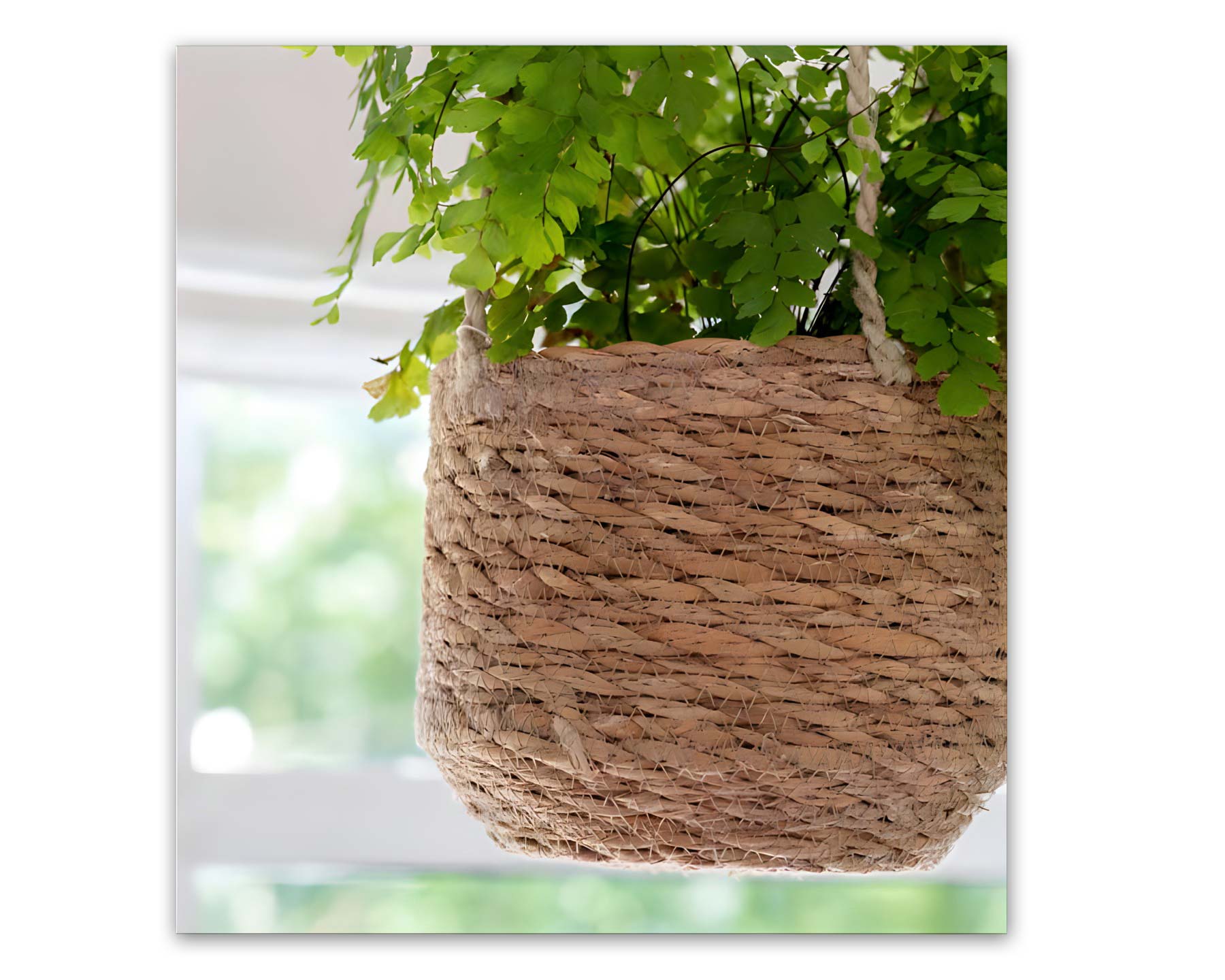 Hanging Pot short design made from Seagrass