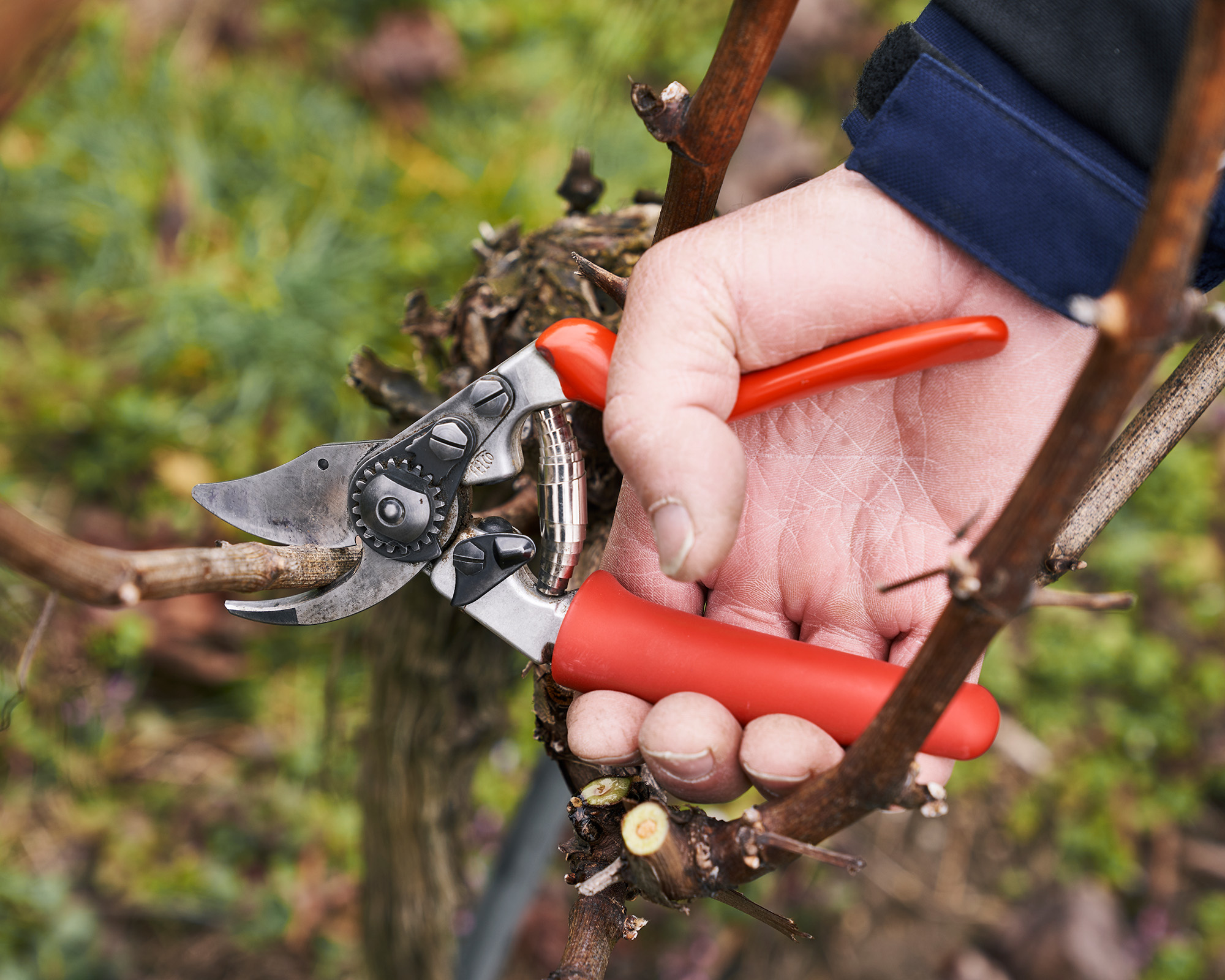 Felco 15 secateurs with rotating handle - designed for small hands