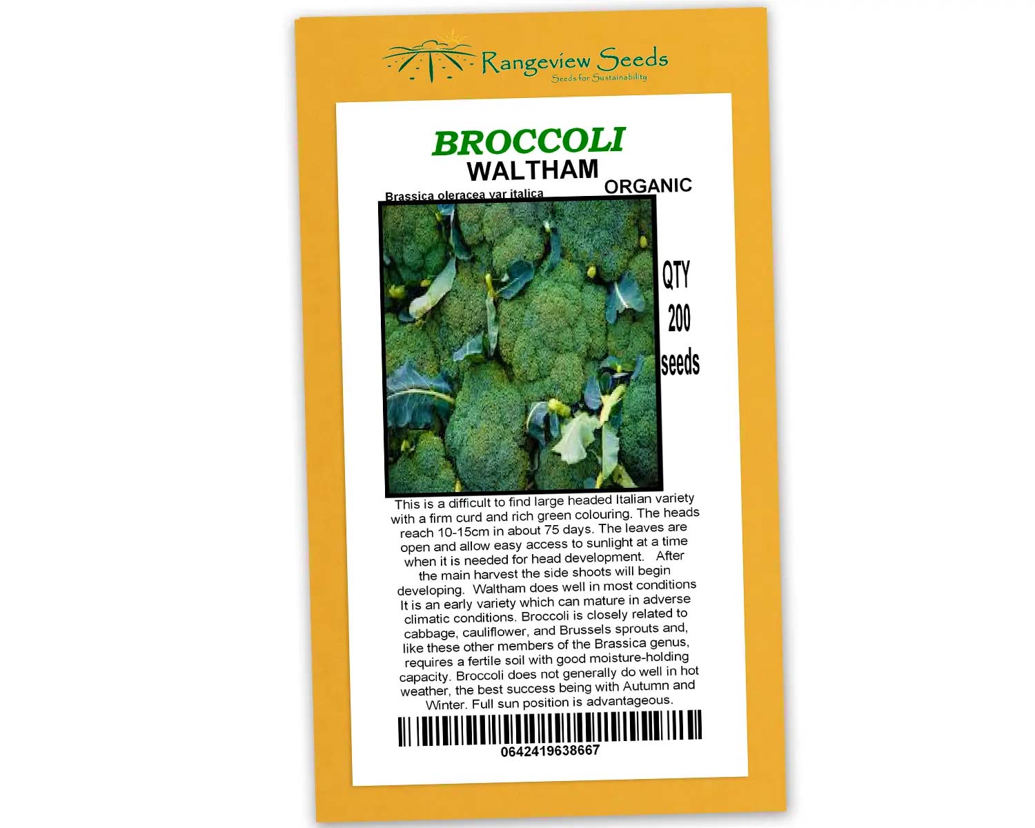 Broccoli Waltham - Rangeview Seeds