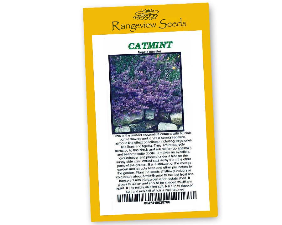 Catmint, Nepeta musinii - Rangeview Seeds