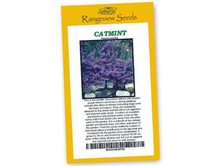 Catmint, Nepeta musinii - Rangeview Seeds